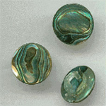 MA-210 - NZ Abalone Button with Shank, in 3 Sizes MA-210 - NZ Abalone Button with Shank, in 3 Sizes